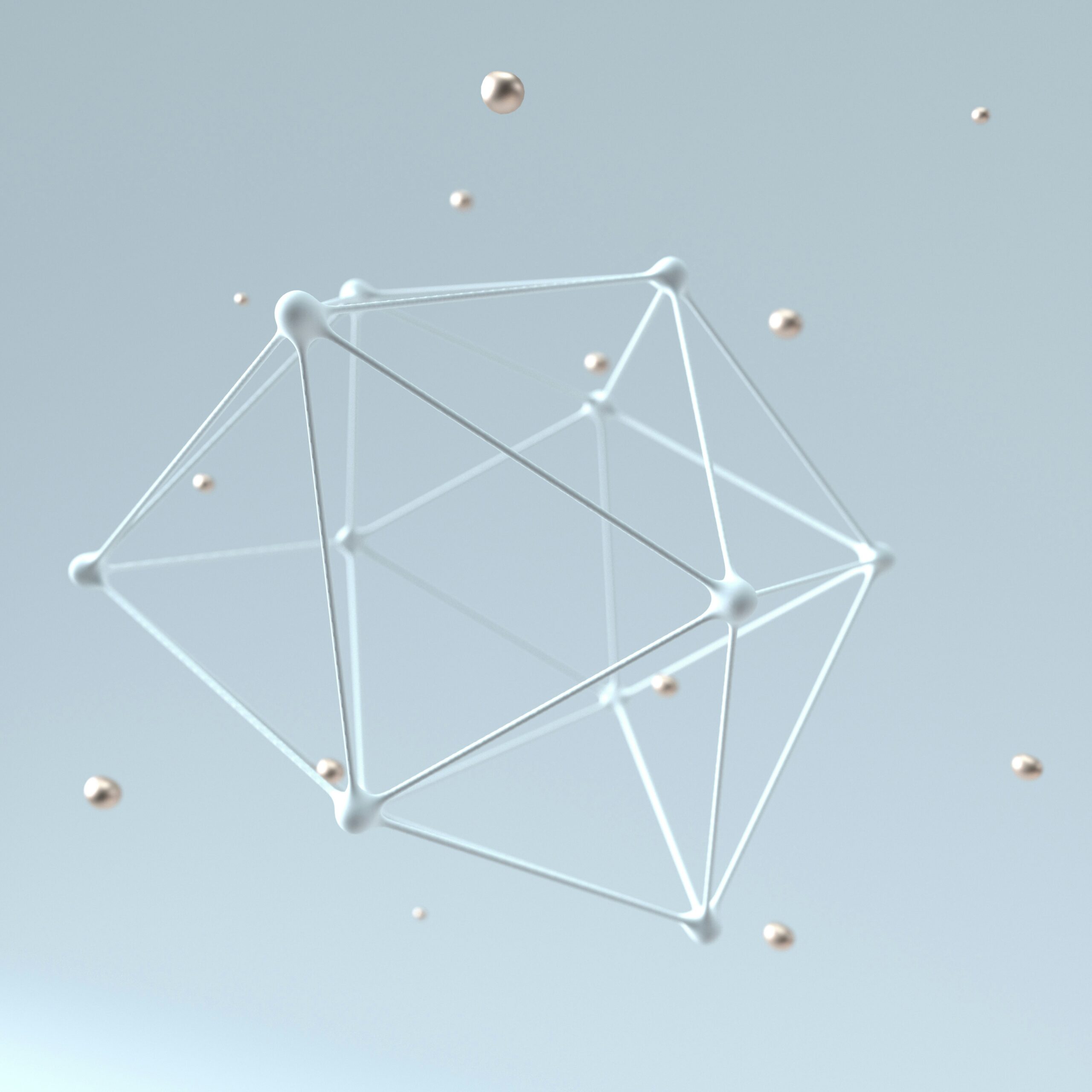 Netzwerk